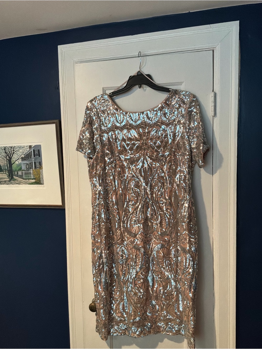 R&M Richards Rose Gold Sequin Short Sleeve Cocktail Dress